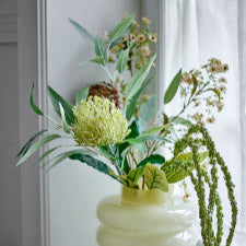 ענף פרח שעווה Waxflower