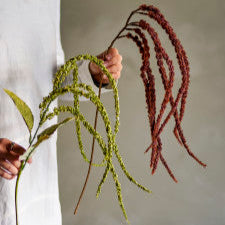 ענף פוקס-טייל מלאכותי Foxtail