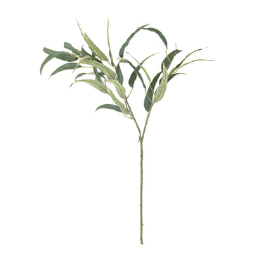 ענף אקליפטוס מלאכותי Eucalyptus