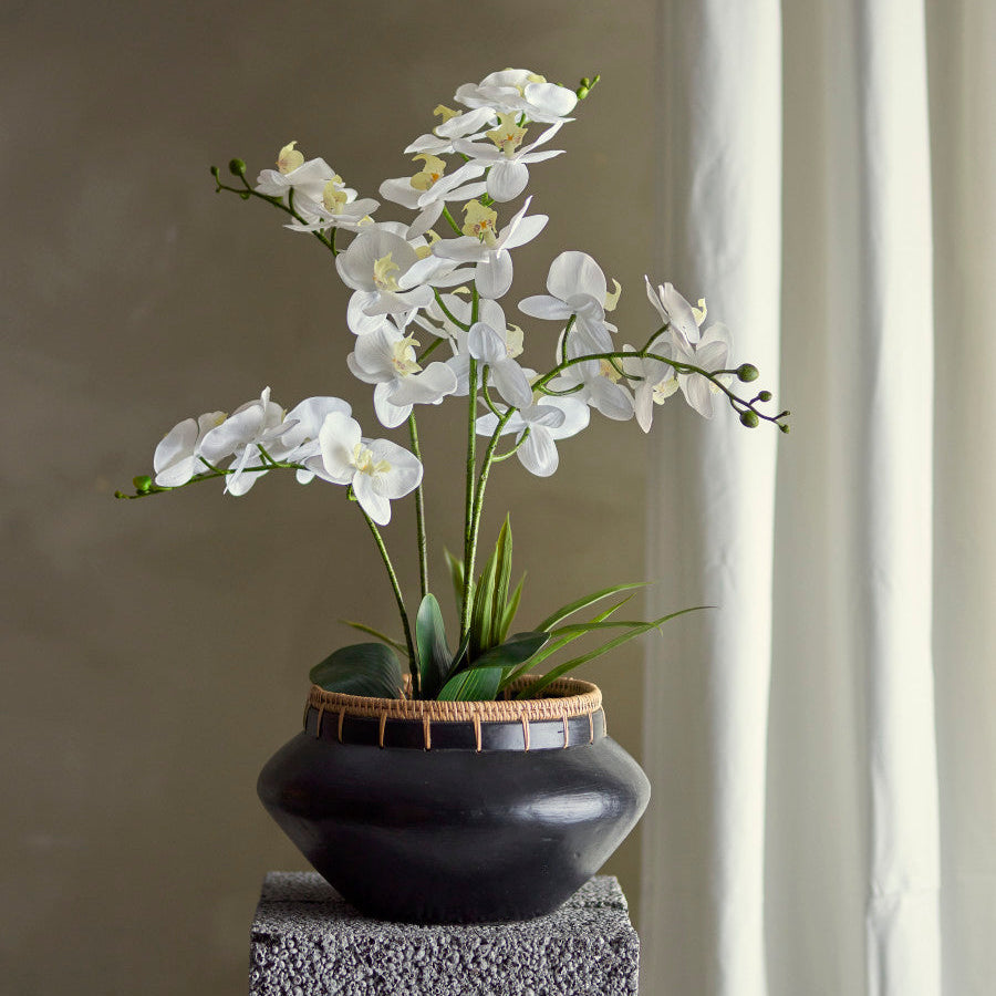 עציץ סחלב מלאכותי Orchid - לבן