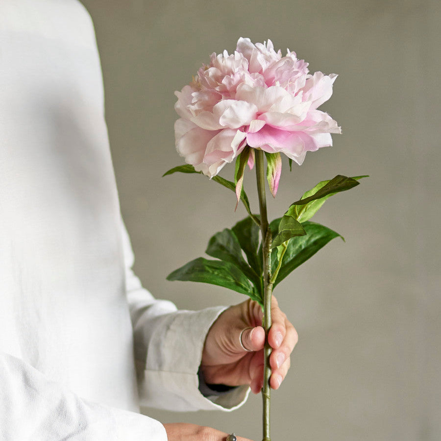 ענף אדמונית מלאכותי Peony - ורוד