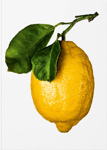 ספר מתכונים - The Gourmand's Lemon